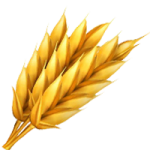 麦浪
