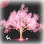 樱花树