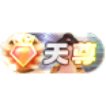 天尊31