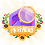 相亲进阶